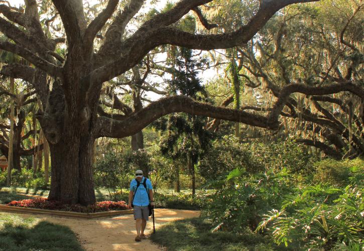 Washington Oaks Garden State Park